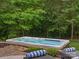 Backyard hot tub surrounded by lush landscaping and lounge chairs at 246 Mcduffie Ln, Fort Mill, SC 29715