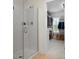 Clean, modern glass shower door opens into walk-in closet at 246 Mcduffie Ln, Fort Mill, SC 29715