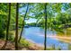 Lake view showcasing waterfront living with boat houses surrounded by mature trees at 288 Ridge Reserve Dr, Lake Wylie, SC 29710