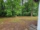 Lush green trees surround the expansive backyard at 4406 Valeview Ln, Charlotte, NC 28269
