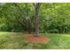 View of the lush backyard with mature trees and manicured landscaping at 5306 Sandtrap Ln, Charlotte, NC 28226
