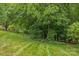 Spacious backyard features a manicured lawn and lush trees along the perimeter at 5306 Sandtrap Ln, Charlotte, NC 28226