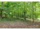 Backyard offers mature trees and natural wooded area with dense foliage at 5306 Sandtrap Ln, Charlotte, NC 28226