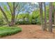 Secluded backyard with mature trees and lush greenery, offering a private and tranquil outdoor space at 2418 Ainsdale Rd, Charlotte, NC 28226
