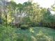 An expansive backyard with lush green grass surrounded by tall trees, offering a private outdoor retreat at 2900 #G Heathstead Pl, Charlotte, NC 28210