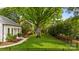 Spacious front yard featuring lush green grass, a mature tree, and a black fence surrounding the property at 3300 Sharon Rd, Charlotte, NC 28211