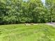 Large backyard featuring a spacious lawn, surrounded by mature trees and garden beds at 4301 Middle Stream Rd, Charlotte, NC 28213