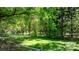 Lush, green backyard with mature trees, offering a serene and private outdoor space at 536 Hartness Rd, Statesville, NC 28677