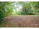 Spacious backyard with trees at 1059 16Th Nw Ave, Hickory, NC 28601