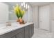 Elegant bathroom with double vanity, gray cabinetry, quartz countertop, and decorative plants at 3618 Marchers Trace Dr, Mint Hill, NC 28227