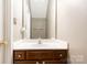 Standard bathroom features a single sink vanity with storage cabinet and large mirror at 5310 Waverly Lynn Ln, Charlotte, NC 28269