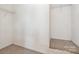 Walk-in closet with carpet, white walls, and wire shelving at 5310 Waverly Lynn Ln, Charlotte, NC 28269