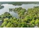 Breathtaking aerial view of waterfront property featuring lush trees and boat docks on the water at 1114 Palmyra Dr, Tega Cay, SC 29708