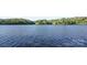 Scenic view of the calm waters of the lake surrounded by lush greenery at 2067 Stephens Farm Dr # C, China Grove, NC 28023