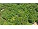 An aerial perspective showcases the homes nestled among a dense canopy of lush, green trees at 208 Devonport Dr # 25, Weddington, NC 28104