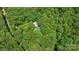 Aerial view showing the property's serene setting among lush trees and natural landscape at 208 Devonport Dr # 25, Weddington, NC 28104