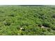 An aerial perspective showcases the homes nestled among a dense canopy of lush, green trees at 208 Devonport Dr # 25, Weddington, NC 28104