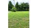 Spacious front yard, offering plenty of outdoor space, and shade trees at 2473 Greenwood Rd, Rock Hill, SC 29730