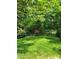 Green lawn and trees in the well-maintained backyard, perfect for a relaxing outdoor space at 3200 Tallia Ct, Charlotte, NC 28269