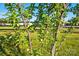 Close-up of lush green foliage and trees on the property at 725 Bradshaw Rd, Mt Ulla, NC 28125