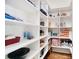 Walk-in pantry with custom shelving for ample storage at 8670 Arbor Oaks Cir, Concord, NC 28027