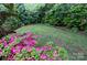 Backyard lawn bordered by pink azaleas and tall evergreen trees at 9652 Wheatfield Rd, Charlotte, NC 28277