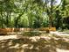Spacious backyard with mature trees, offering privacy and natural beauty at 3007 West Blvd, Charlotte, NC 28208