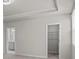 Bright bedroom with neutral walls, tray ceiling, and walk-in closet at 5024 Colline Ct, Charlotte, NC 28216