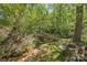 Tranquil backyard setting with a wooden bridge over a small stream, nestled among mature trees at 627 S Chapel St, Landis, NC 28088
