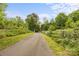Scenic walking path surrounded by lush greenery, perfect for enjoying nature and outdoor activities at 11304 Preservation Ln, Charlotte, NC 28278