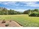 Expansive grassy land with scattered trees and bushes, perfect for recreation or development at 25674 Old School Rd, Oakboro, NC 28129