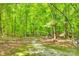 Fenced-in backyard with mature trees at 4307 Edgeland Rd, Edgemoor, SC 29712