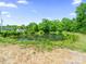 Picturesque backyard with pond surrounded by lush greenery, offering a serene outdoor space at 503 Eddleman Rd, Kannapolis, NC 28083