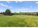 Expansive backyard featuring a large grassy area with views of the surrounding neighborhood at 767 Pinnacle Dr, Iron Station, NC 28080