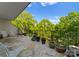 Spacious tiled balcony featuring outdoor seating, plants, and lush green tree views at 974 Queens Rd, Charlotte, NC 28207
