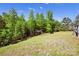 Picturesque backyard with lush greenery, mature trees, and a wooden playhouse for recreational opportunities at 13408 Portside Ln, Lancaster, SC 29720