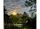 Scenic backyard view with lush greenery, a white fence, and a moonlit sky at twilight at 1418 Lonan Dr, Waxhaw, NC 28173