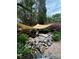 Backyard landscape design featuring a calming koi pond with lush greenery, rocks, and a protective canopy at 1418 Lonan Dr, Waxhaw, NC 28173
