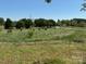 Spacious lot of land that is primarily grass and small green trees at 8588 Smith Rd, Kannapolis, NC 28081