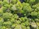 Overhead shot of a house surrounded by dense trees, showcasing a private wooded setting at 118 Taylor Ct # 16, Mooresville, NC 28117