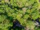 Aerial view of a tree-covered property, showcasing lush greenery and an estate home at 118 Taylor Ct # 16, Mooresville, NC 28117