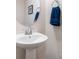 The bathroom has a white pedestal sink and blue hand towel at 314 Embers Ln, Clover, SC 29710