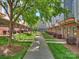 Backyard view of modern townhouses showcasing a grassy walkway and green spaces for relaxing outdoors at 520 Sedgefield Park Dr, Charlotte, NC 28203