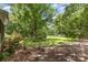 Expansive backyard with lush greenery, mature trees, and a small storage shed at 1468 Woodhurst Dr, Rock Hill, SC 29732