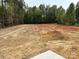 Expansive backyard with lush greenery, providing ample space for outdoor activities and enjoying nature at Lot 9 Lilly Pad Dr, Salisbury, NC 28146
