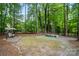 Lush backyard featuring a unique chess game set, shaded swing, and inviting outdoor recreational area at 10319 Remembrance Trl, Huntersville, NC 28078