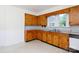 Traditional kitchen featuring wooden cabinets, double basin sink, and neutral countertops at 166 Still Ave, Fort Mill, SC 29715