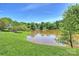 Scenic pond view, surrounded by lush greenery and mature trees, adding a serene and tranquil feel to the property at 2544 Barrington Ct, Rock Hill, SC 29732