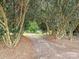 Long gravel driveway framed by mature trees, leading to the home at 3231 Karen Ln, Monroe, NC 28110