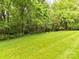 Spacious backyard with lush green lawn and natural tree border providing a serene setting at 6645 Gaywind Dr, Charlotte, NC 28226